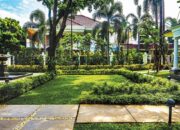 Tamanify, Solusi Jasa Pembuatan Taman Berkualitas untuk Kantor dan Perumahan