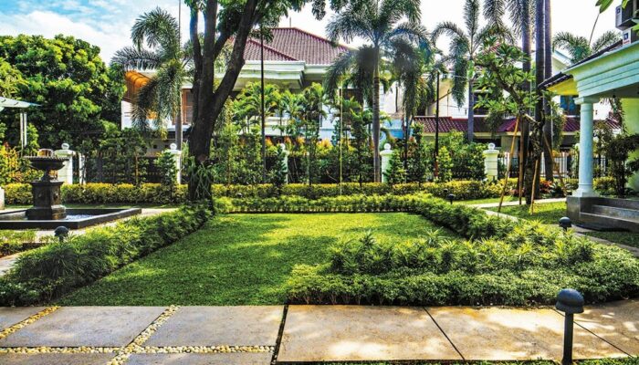Tamanify, Solusi Jasa Pembuatan Taman Berkualitas untuk Kantor dan Perumahan